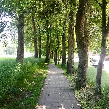 Sea And Dunes 公寓 克诺克－海斯特