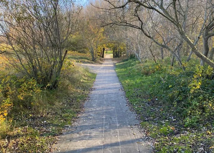 Apartment Sea And Dunes